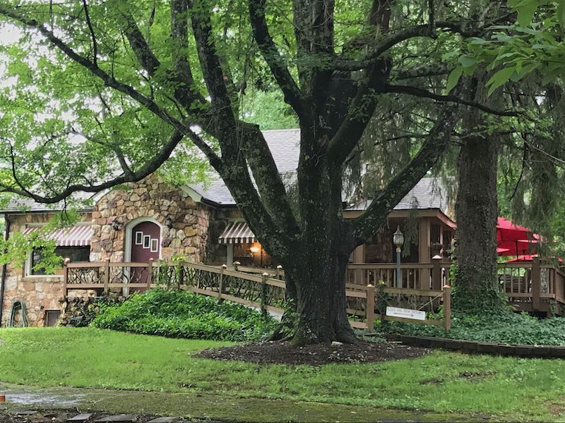 Destination Tea Review Of Afternoon Tea At Ivory Road In Arden Nc
