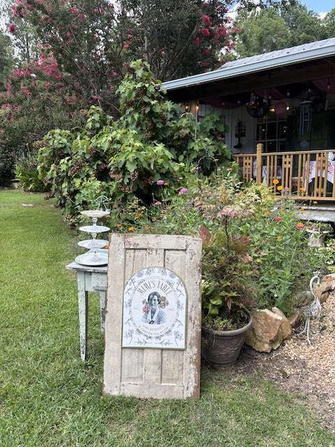 Afternoon Tea at Mimi's Table & Garden Tea Room in Sylacauga, Alabama