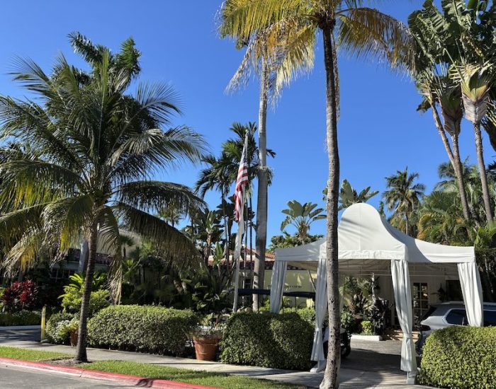 afternoon tea at The Brazilian Court's Cafe Boulud in Palm Beach, Florida