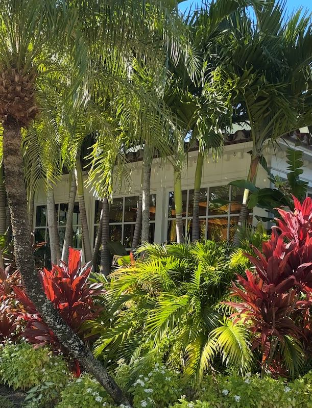 afternoon tea at The Brazilian Court's Cafe Boulud in Palm Beach, Florida