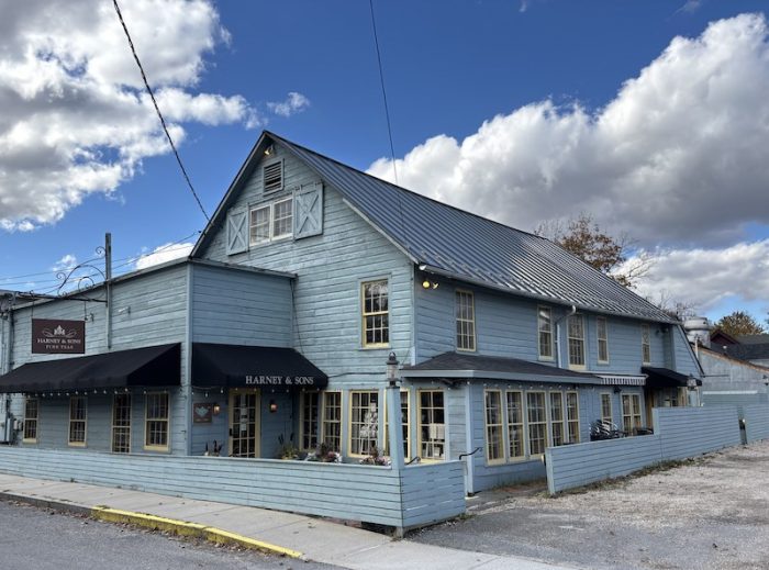 Harney & Sons Millerton tea bar