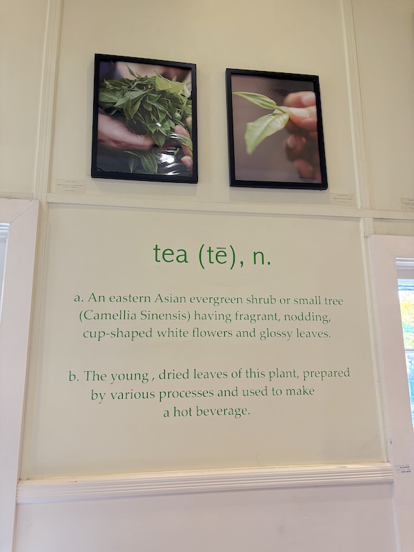 wall art at Harney & Sons Millerton, New York tea bar