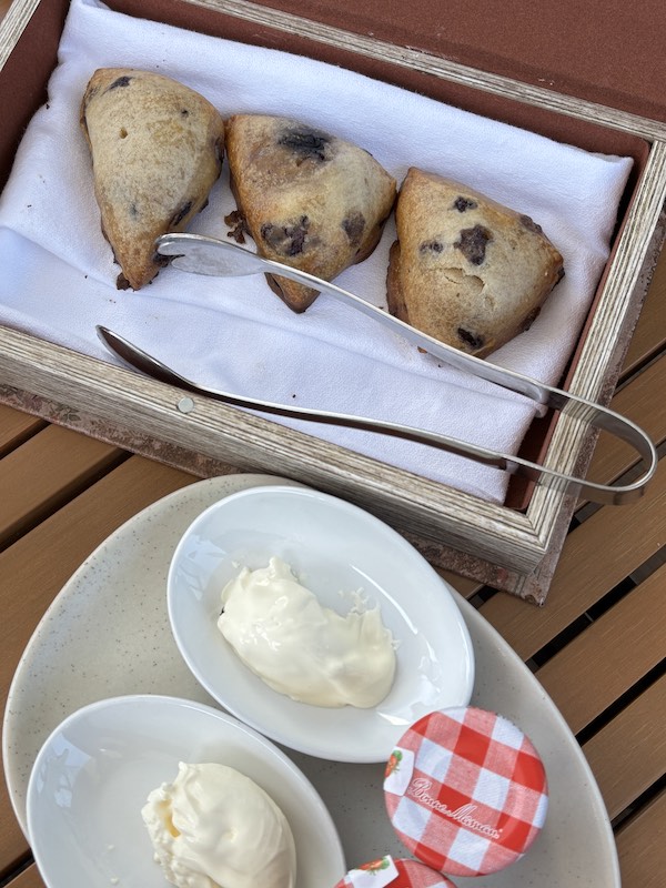 scones with clotted cream at afternoon tea at The Westin Atlanta Gwinnett, Overstory Rooftop Bar