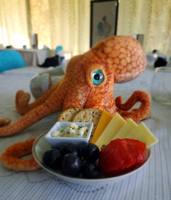 Cheese tray at The Kraken's Cup in Knoxville, TN