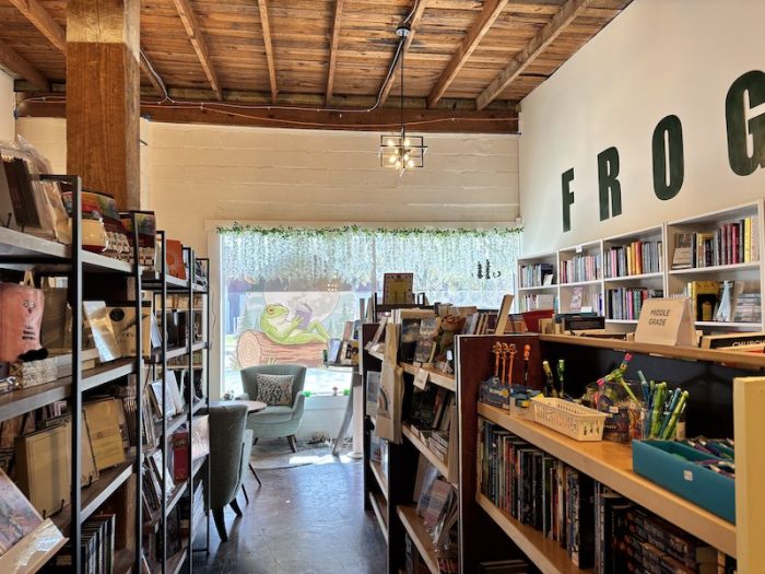 Frog Moon Bookshop in Springfield, Georgia